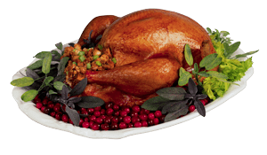 merchant-services-turkey-yum Merchant Services picture of a turkey