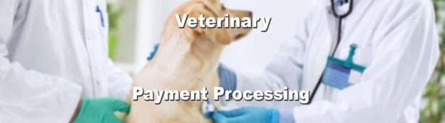 website banner veterinary 2 1