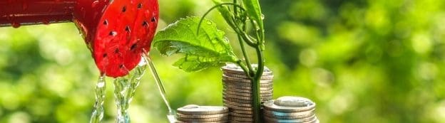 website banner green business 1