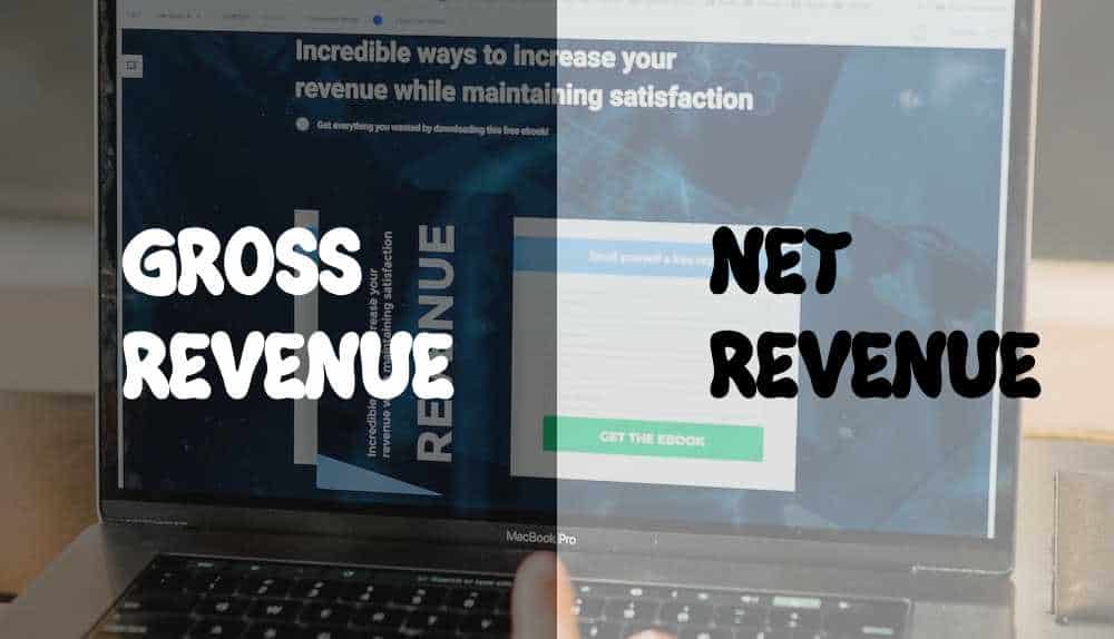 Gross Revenue Vs Net Revenue