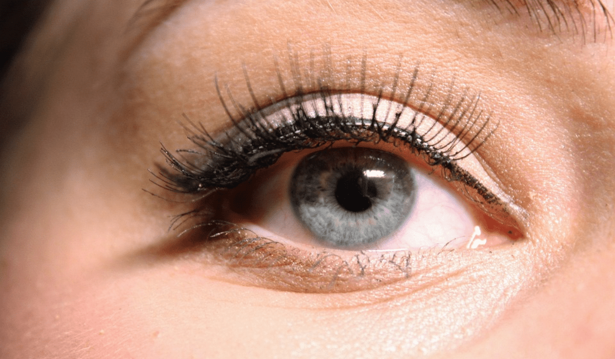 How to Become a Lash Tech in 8 Easy Steps
