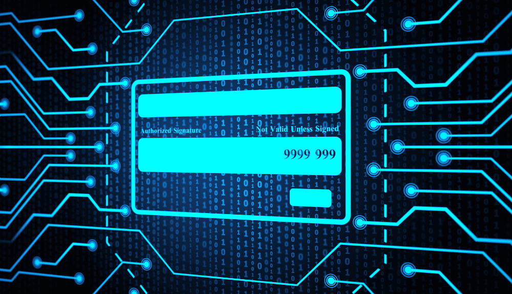 Payment Data