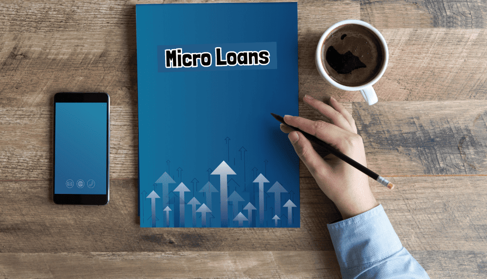 What Is a Microloan? What Are Microloans Used For?