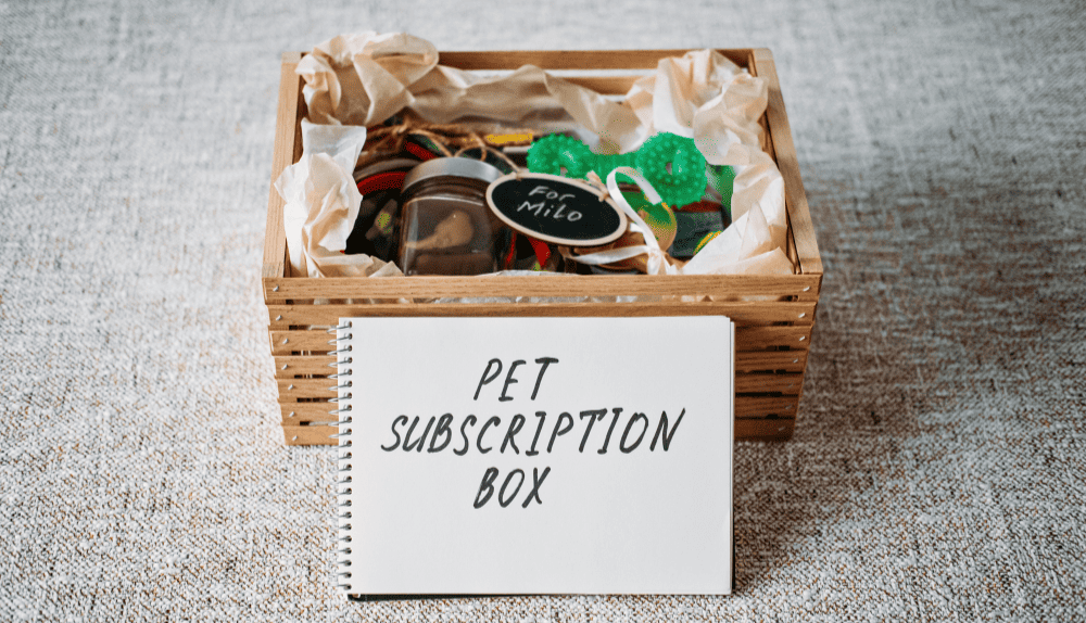 Subscription Subscription boxes