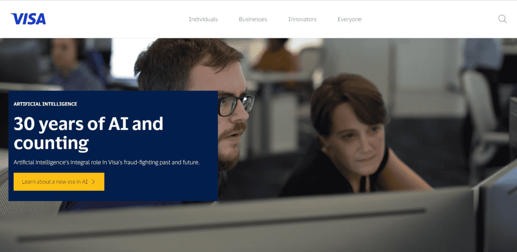 Visa website