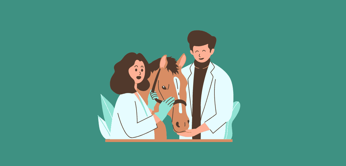 Streamlining Client Experience: The Benefits of Offering Multiple Payment Options in Veterinary Clinics