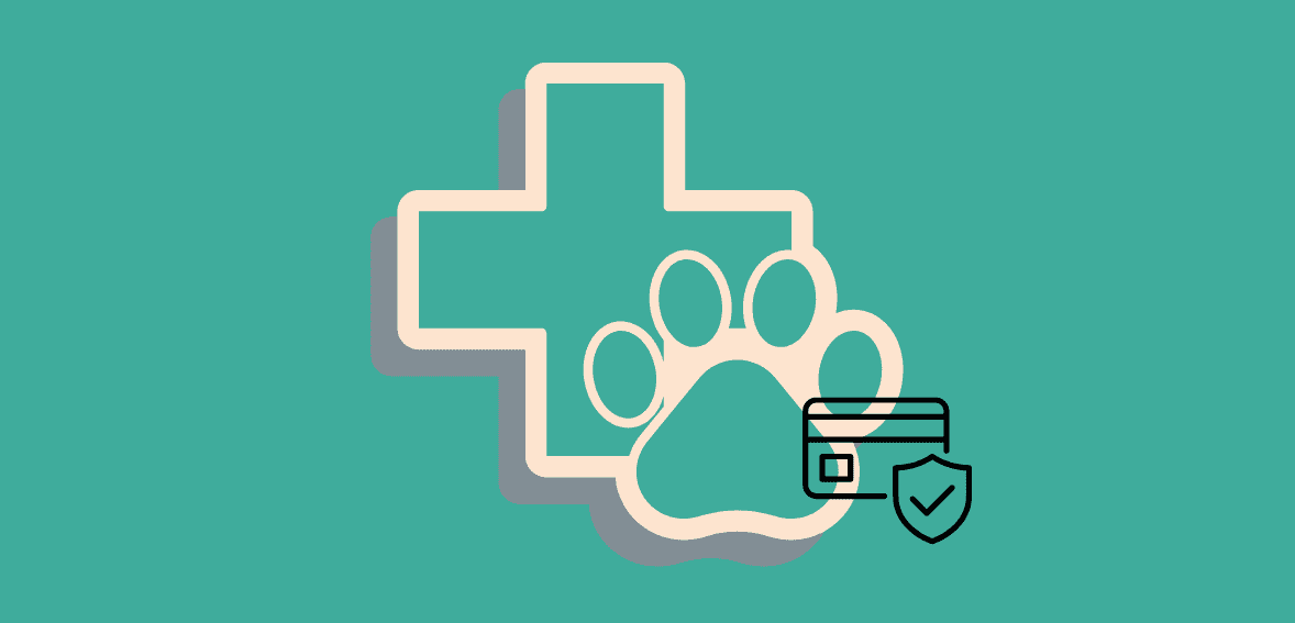 The Future of Veterinary Payments: Embracing Contactless and Mobile Solutions