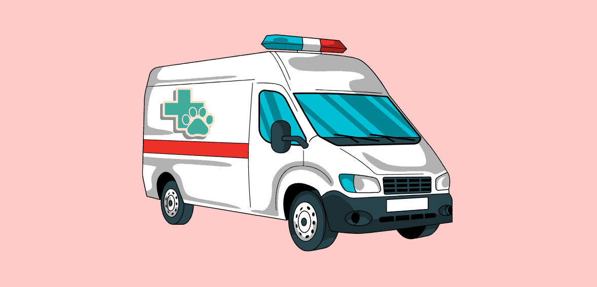 Emergency Payment Processing