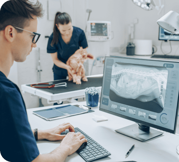 Veterinarian using digital medical software in a veterinary clinic.