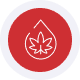 cbd dispensaries icon Red payment card icon with maple leaf logo, symbolizing Canadian merchant services and payment solutions.