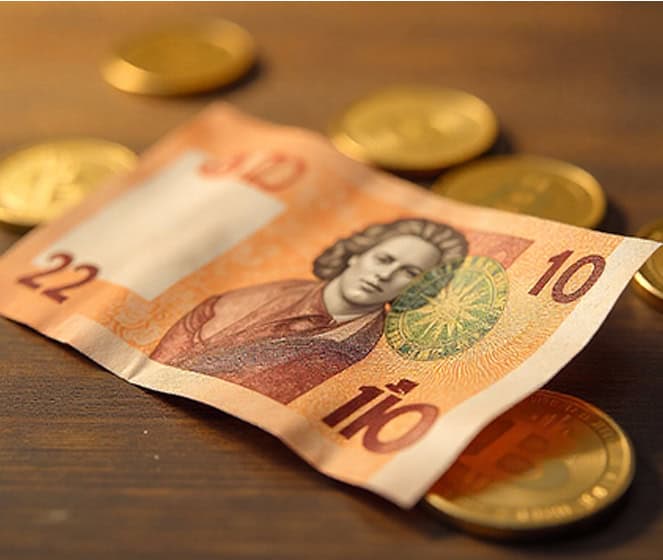 Affordable merchant services for small and large businesses. Maximize revenue with Host Merchant Services.