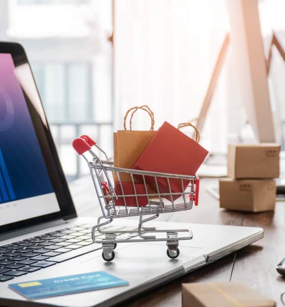 Secure online payment processing for e-commerce merchants and retail businesses.