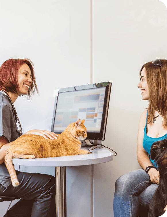 Friendly customer service representative with a cat at the computer talking to a client.