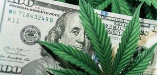 $100 bills with cannabis leaf in front, representing cannabis industry payments and merchant services.