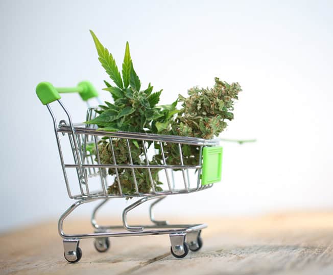 Cannabis plants in shopping cart for retail or dispensary industry.