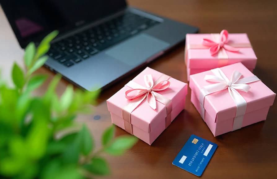 Flexible payment processing solutions for host merchant services.